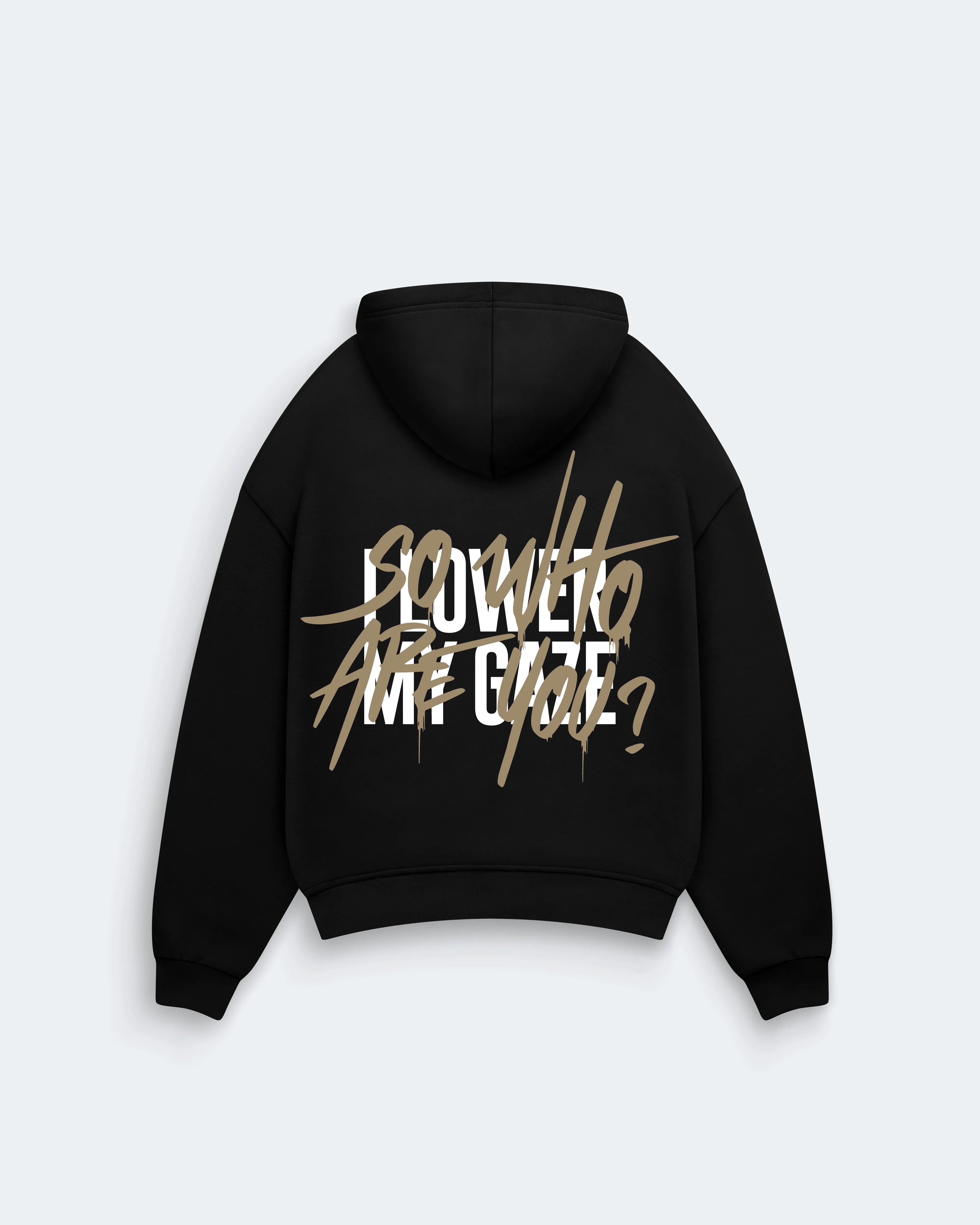 I lower my gaze so who are you