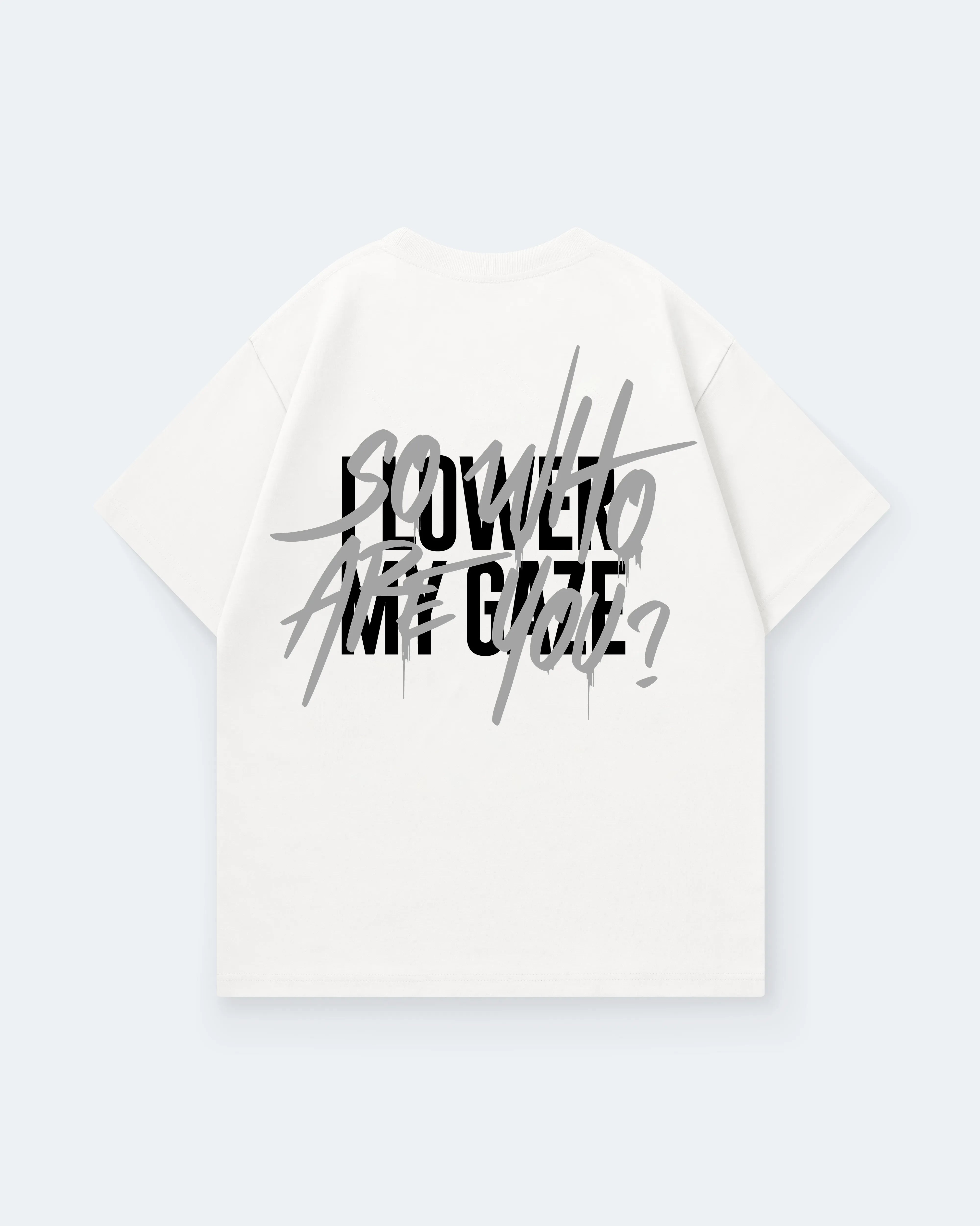 I LOWER MY GAZE SO WHO ARE YOU
