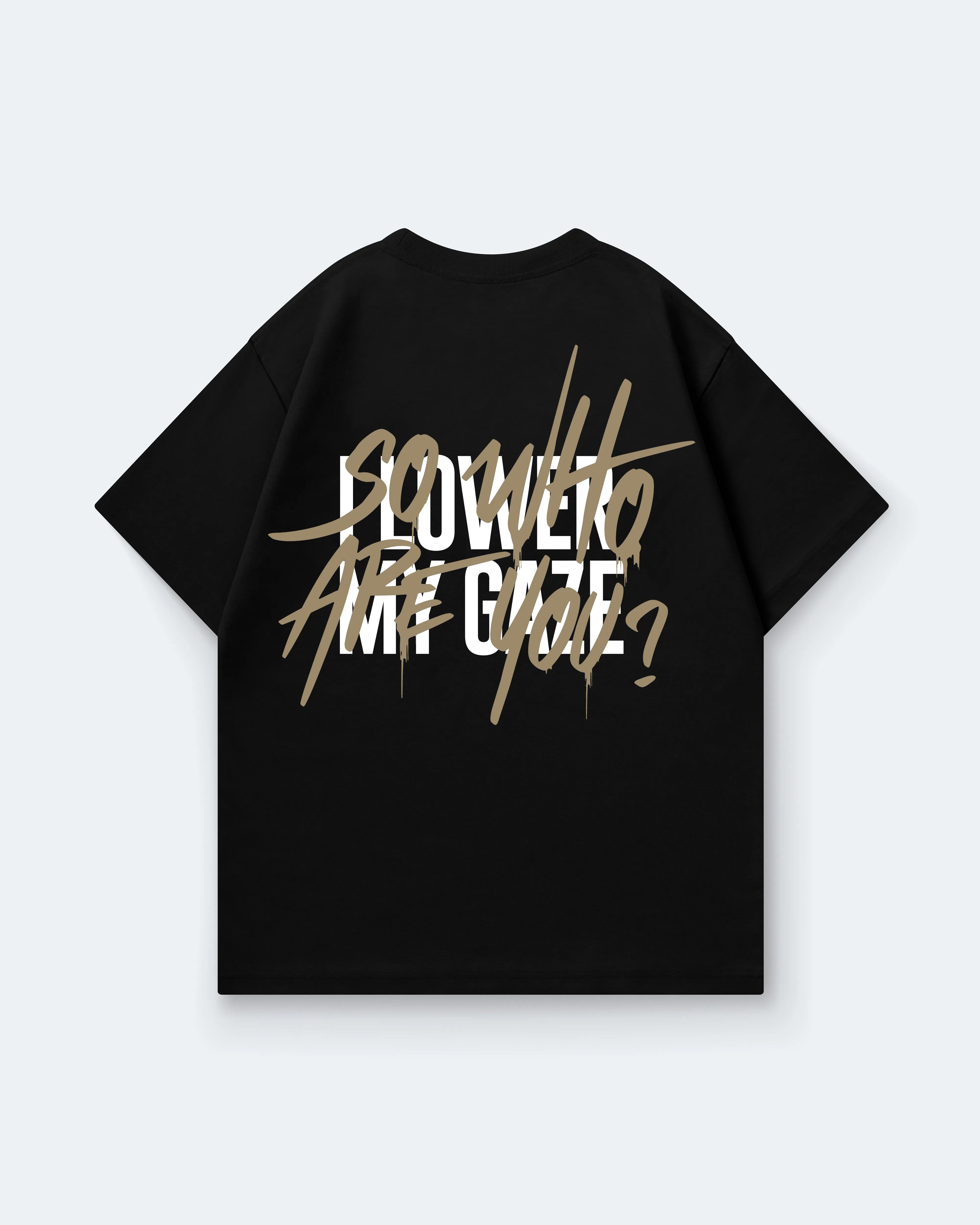 I LOWER MY GAZE SO WHO ARE YOU